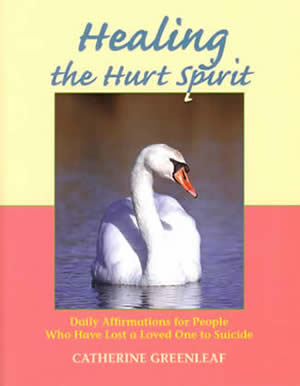 The book cover of Healing The Hurt Spirit